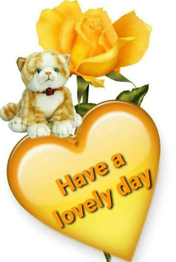 10 Awesome Good Morning Quotes & Blessings To Love Daily - picture 7