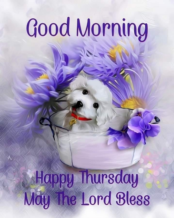 10 Awesome Thursday Quotes And Sayings To Get You Through The Day - picture 7