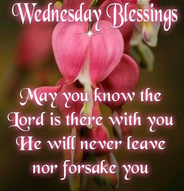 10 Awesome Wednesday Quotes And Sayings - picture 2