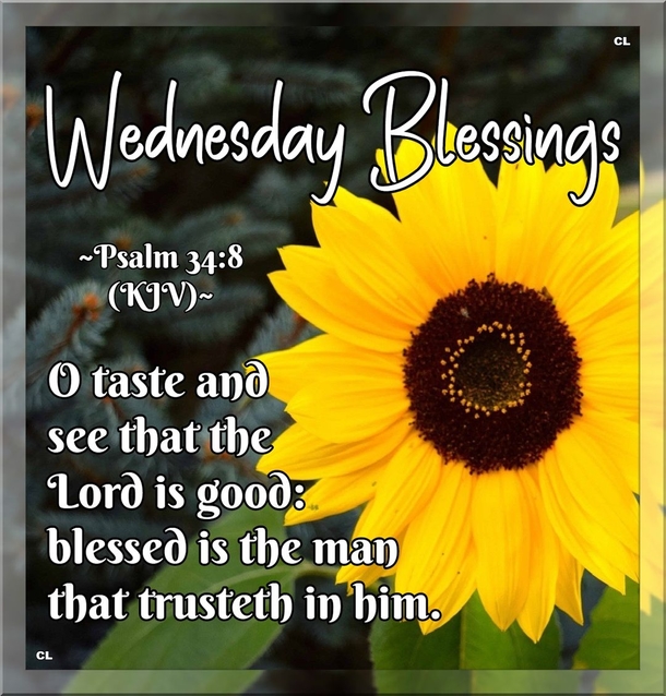 10 Awesome Wednesday Quotes And Sayings - picture 6
