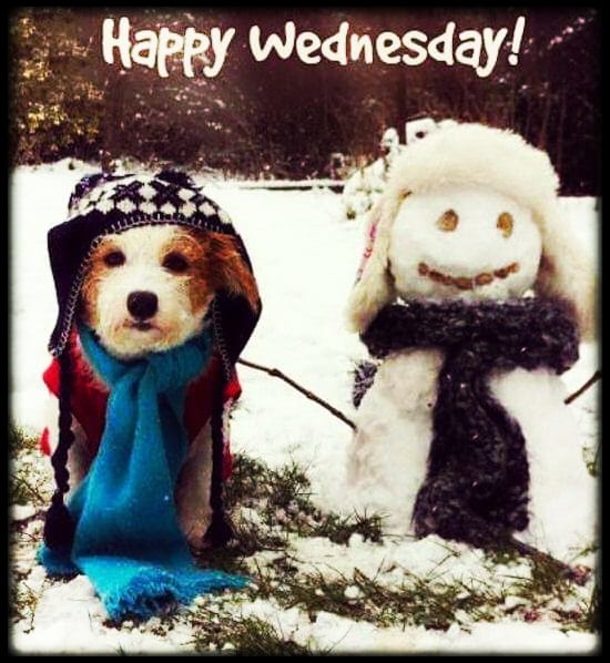 10 Awesome Wednesday Quotes And Sayings - picture 9