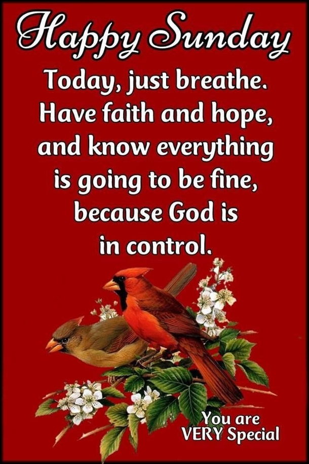 10 Beautiful And Inspiring Happy Sunday Messages And Quotes - picture 5