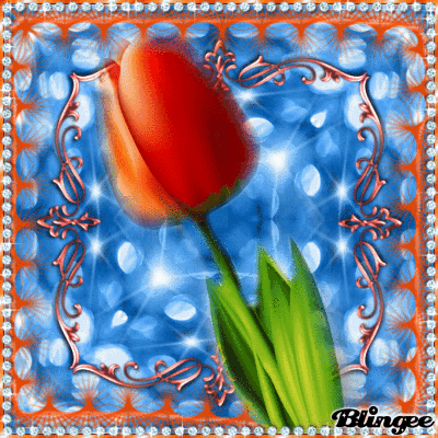 10 Beautiful Animated Tulip Images - picture 10