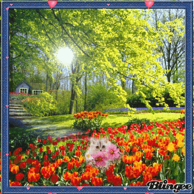 10 Beautiful Animated Tulip Images - picture 11
