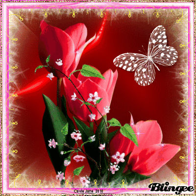 10 Beautiful Animated Tulip Images - picture 3