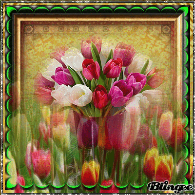 10 Beautiful Animated Tulip Images - picture 4