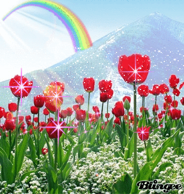 10 Beautiful Animated Tulip Images - picture 5