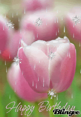 10 Beautiful Animated Tulip Images - picture 9