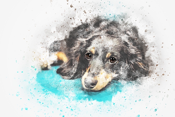 10 Beautiful Art And Illustrations That Are Perfect - picture 7