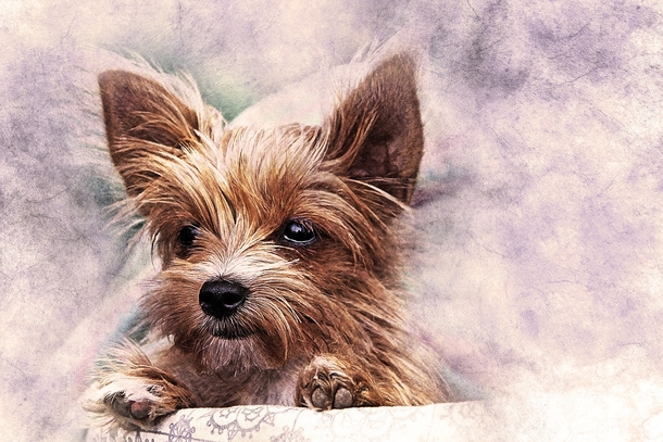 10 Beautiful Art And Illustrations That Are Perfect - picture 8