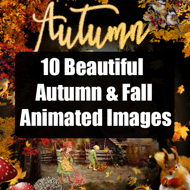 10 Beautiful Autumn & Fall Animated Images