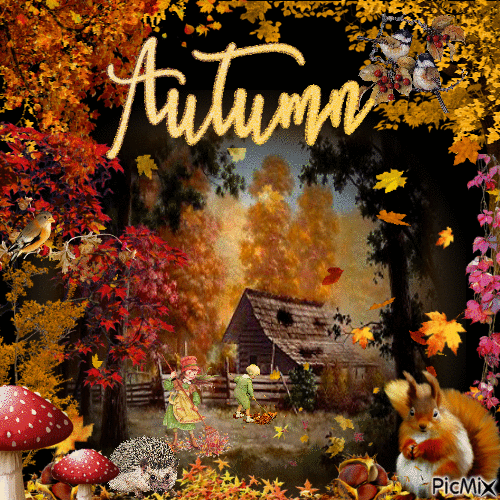 10 Beautiful Autumn & Fall Animated Images - picture 7