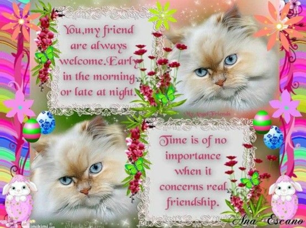 10 Beautiful Best Friend Quotes And Sayings - picture 5