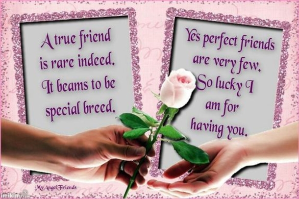 10 Beautiful Best Friend Quotes, Sayings And Images - picture 11