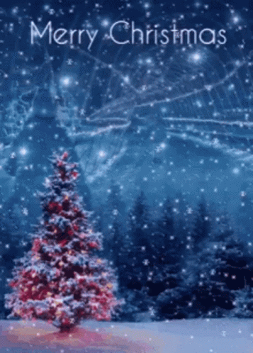 10 Beautiful Christmas Greetings To Get You In The Holiday Spirit - picture 6