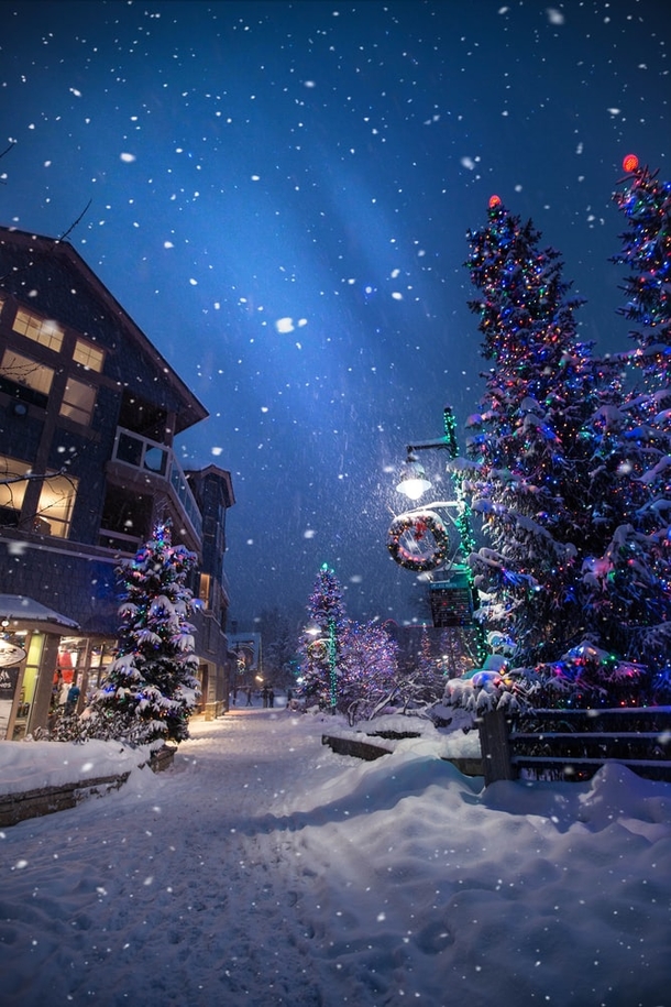 10 Beautiful Christmas Photography Images To Get You Excited For The Holiday Season - picture 2