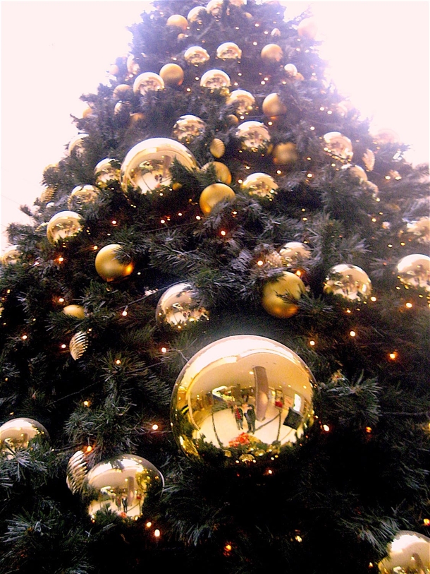 10 Beautiful Christmas Tree Ideas - picture 11
