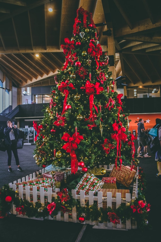 10 Beautiful Christmas Tree Ideas - picture 12
