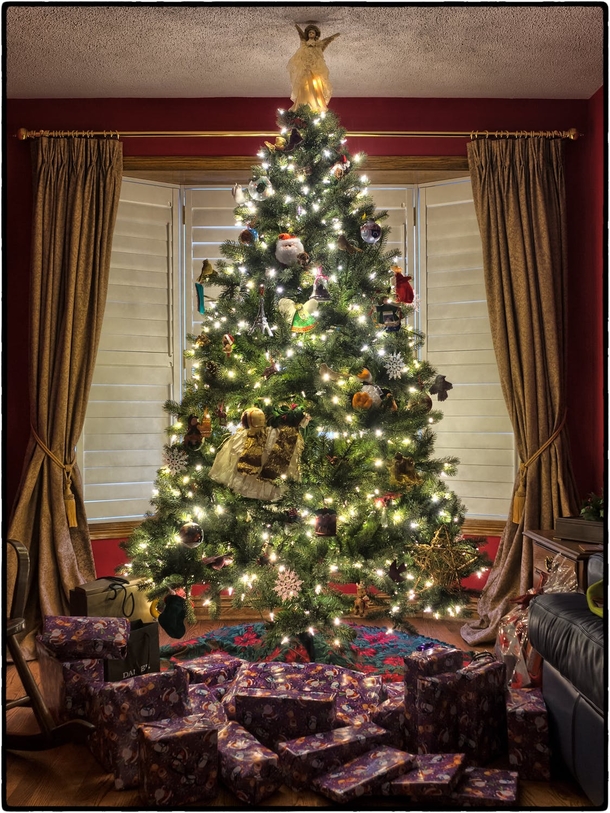 10 Beautiful Christmas Tree Ideas - picture 2