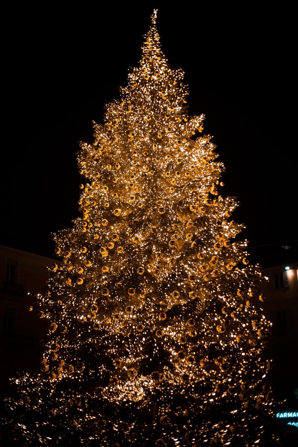 10 Beautiful Christmas Tree Ideas - picture 3