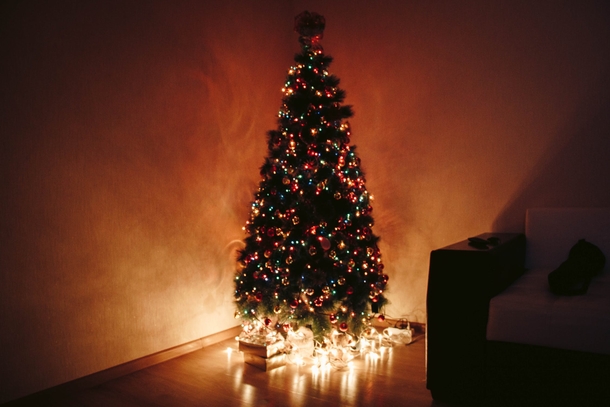10 Beautiful Christmas Tree Ideas - picture 4
