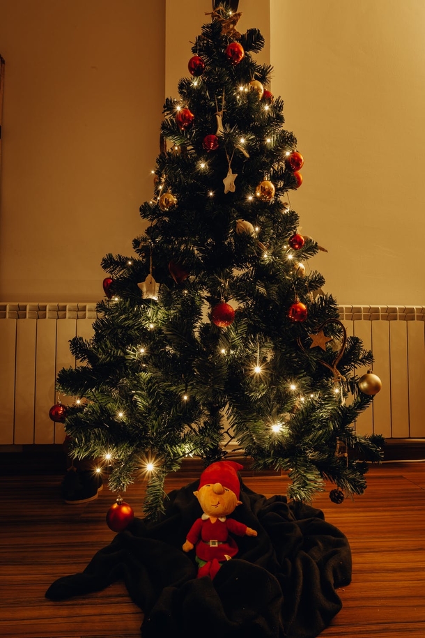 10 Beautiful Christmas Tree Ideas - picture 5
