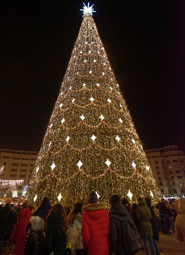 10 Beautiful Christmas Tree Ideas - picture 6