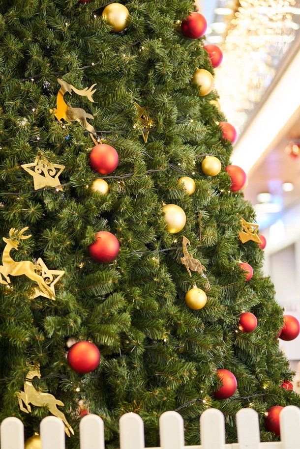 10 Beautiful Christmas Tree Ideas - picture 8