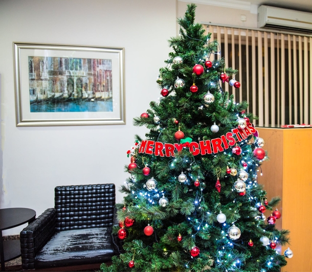 10 Beautiful Christmas Tree Ideas - picture 9