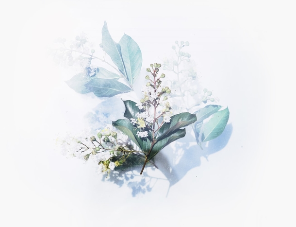 10 Beautiful Creative Art & Illustations - picture 9