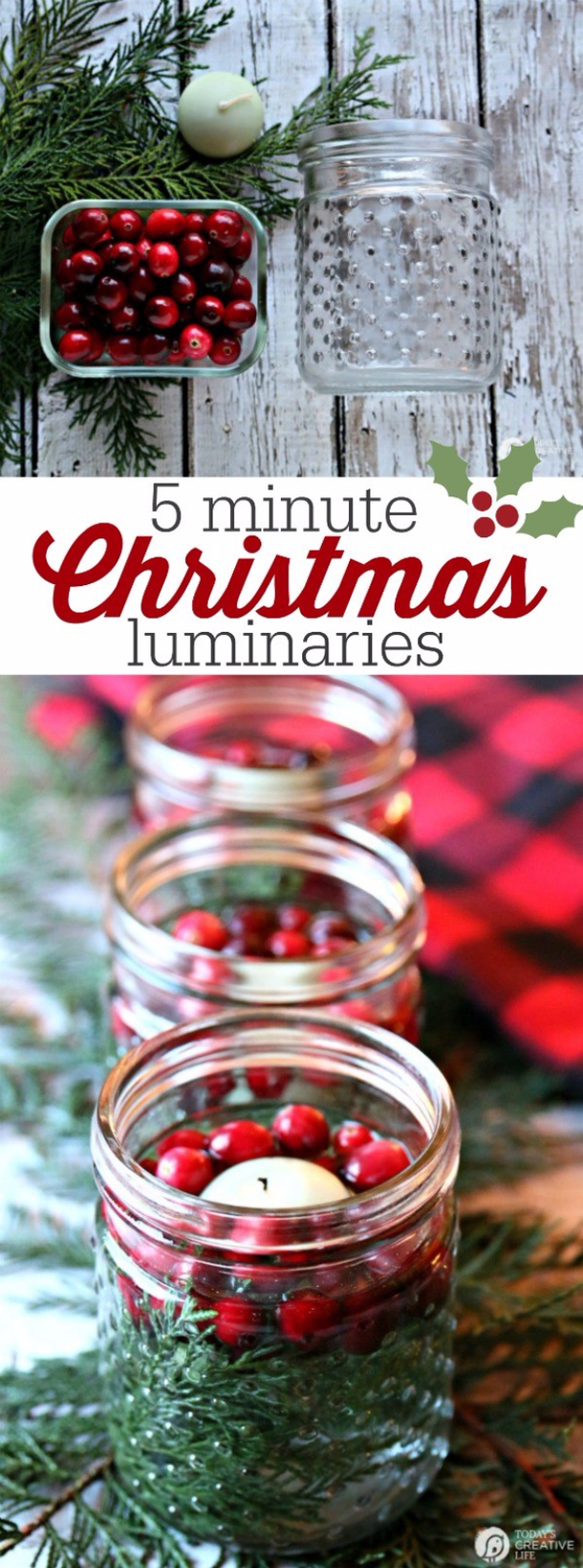 10 Beautiful DIY Christmas Luminaries - picture 5