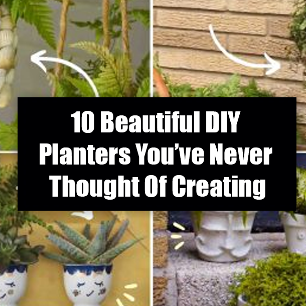 10 Beautiful DIY Planters You’ve Never Thought Of Creating