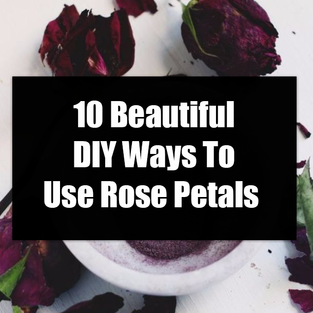 10 Beautiful DIY Ways To Use Rose Petals