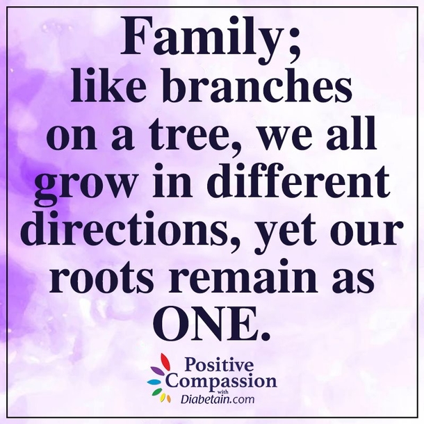 10 Beautiful Family Quotes That Express What Family Truly Means - picture 8