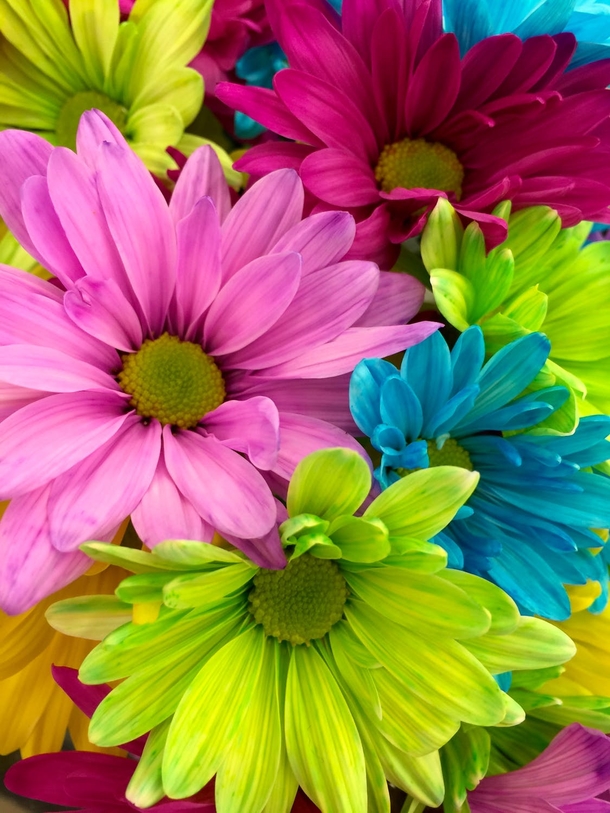 10 Beautiful Flowers Photography For Spring - picture 10