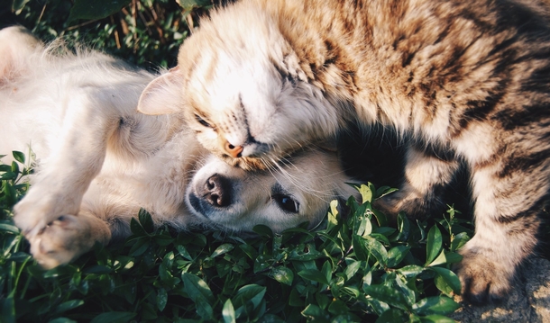 10 Beautiful Friend Images That Will Amaze You - picture 4
