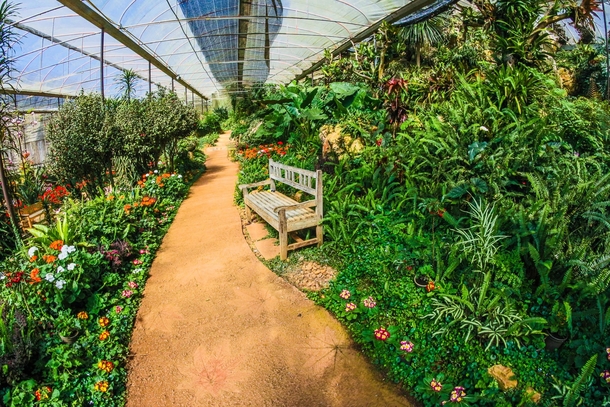 10 Beautiful Garden Ideas That Are Perfect - picture 10