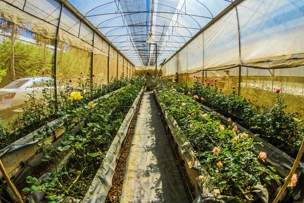 10 Beautiful Garden Ideas That Are Perfect - picture 11