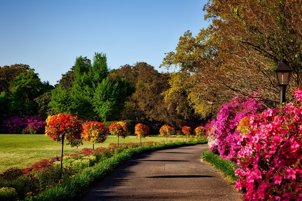 10 Beautiful Garden Ideas That Are Perfect - picture 13