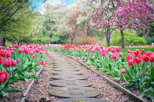 10 Beautiful Garden Ideas That Are Perfect - picture 2