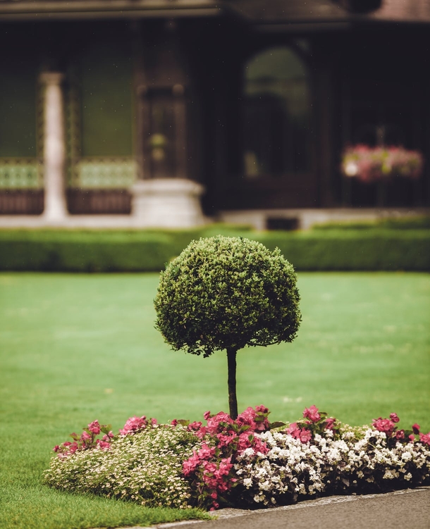 10 Beautiful Garden Ideas That Are Perfect - picture 3