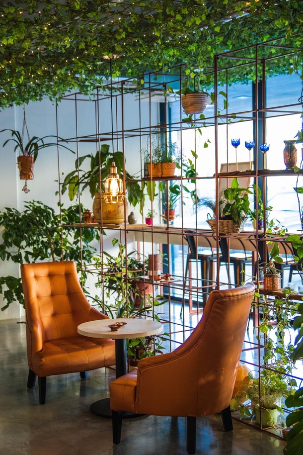 10 Beautiful Garden Ideas That Are Perfect - picture 5
