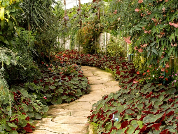 10 Beautiful Garden Ideas That Are Perfect - picture 6