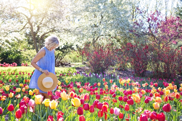 10 Beautiful Garden Ideas That Are Perfect - picture 9