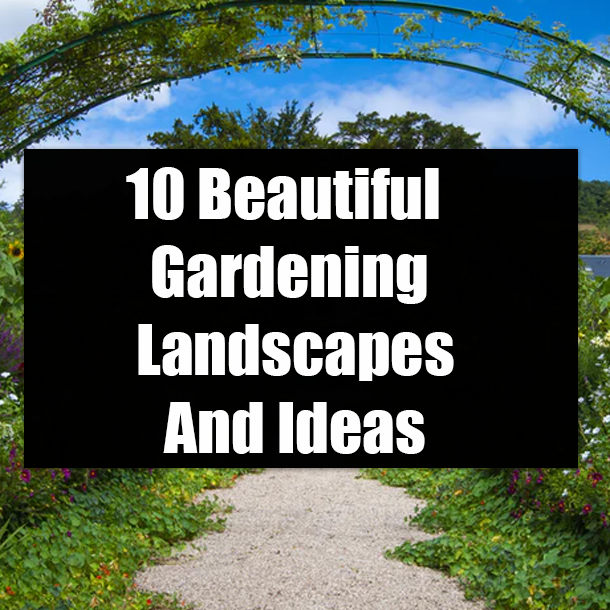 10 Beautiful Gardening Landscapes And Ideas
