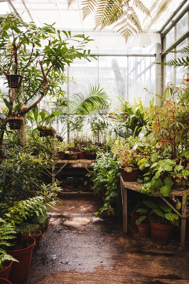 10 Beautiful Gardening Landscapes And Ideas - picture 11