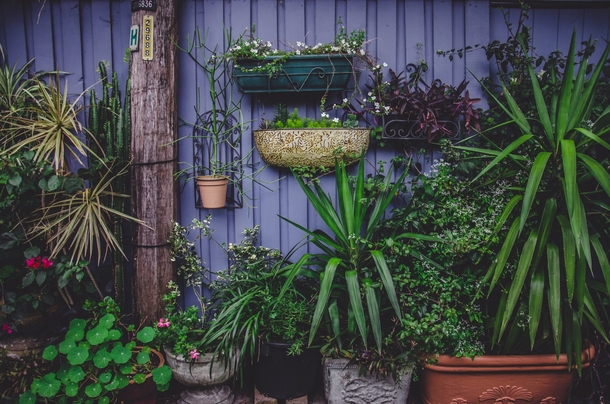 10 Beautiful Gardening Landscapes And Ideas - picture 6
