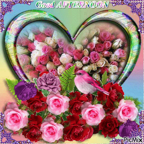 10 Beautiful Good Afternoon Gifs - picture 2