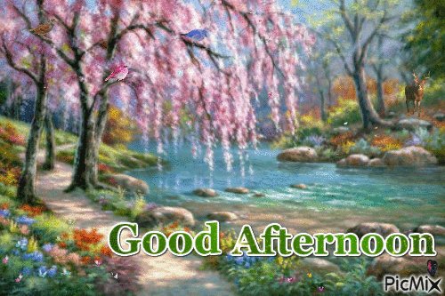 10 Beautiful Good Afternoon Gifs - picture 8