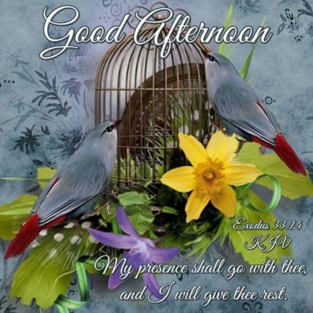 10 Beautiful Good Afternoon Quotes To Inspire - picture 9